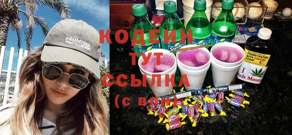 индика Белокуриха