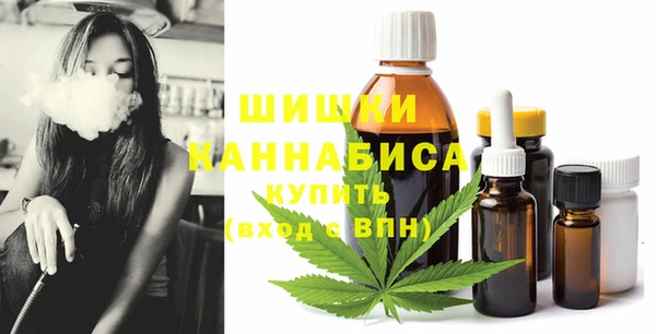 индика Белокуриха