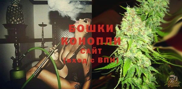 индика Белокуриха