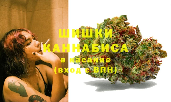 индика Белокуриха