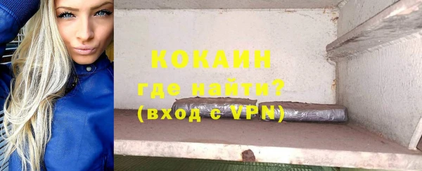 индика Белокуриха