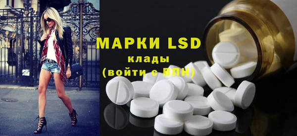 индика Белокуриха