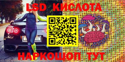 гидра Камышлов