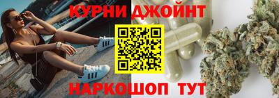 гидра Камышлов
