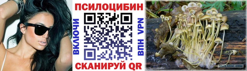 Галлюциногенные грибы GOLDEN TEACHER Кузнецк