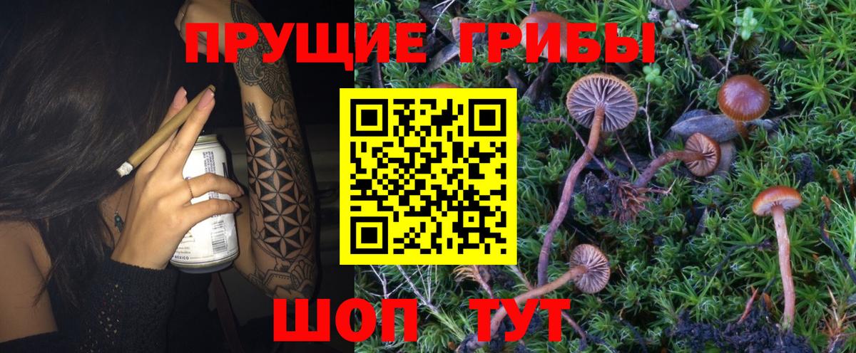 Псилоцибиновые грибы MAGIC MUSHROOMS Кузнецк
