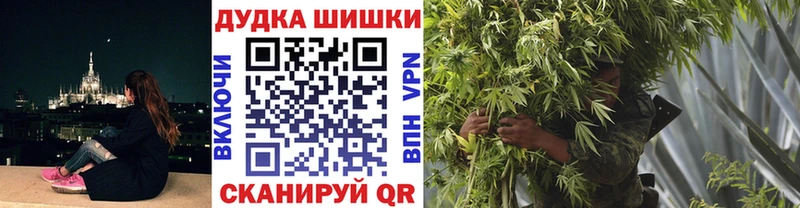 где продают наркотики  Кузнецк  Канабис план 